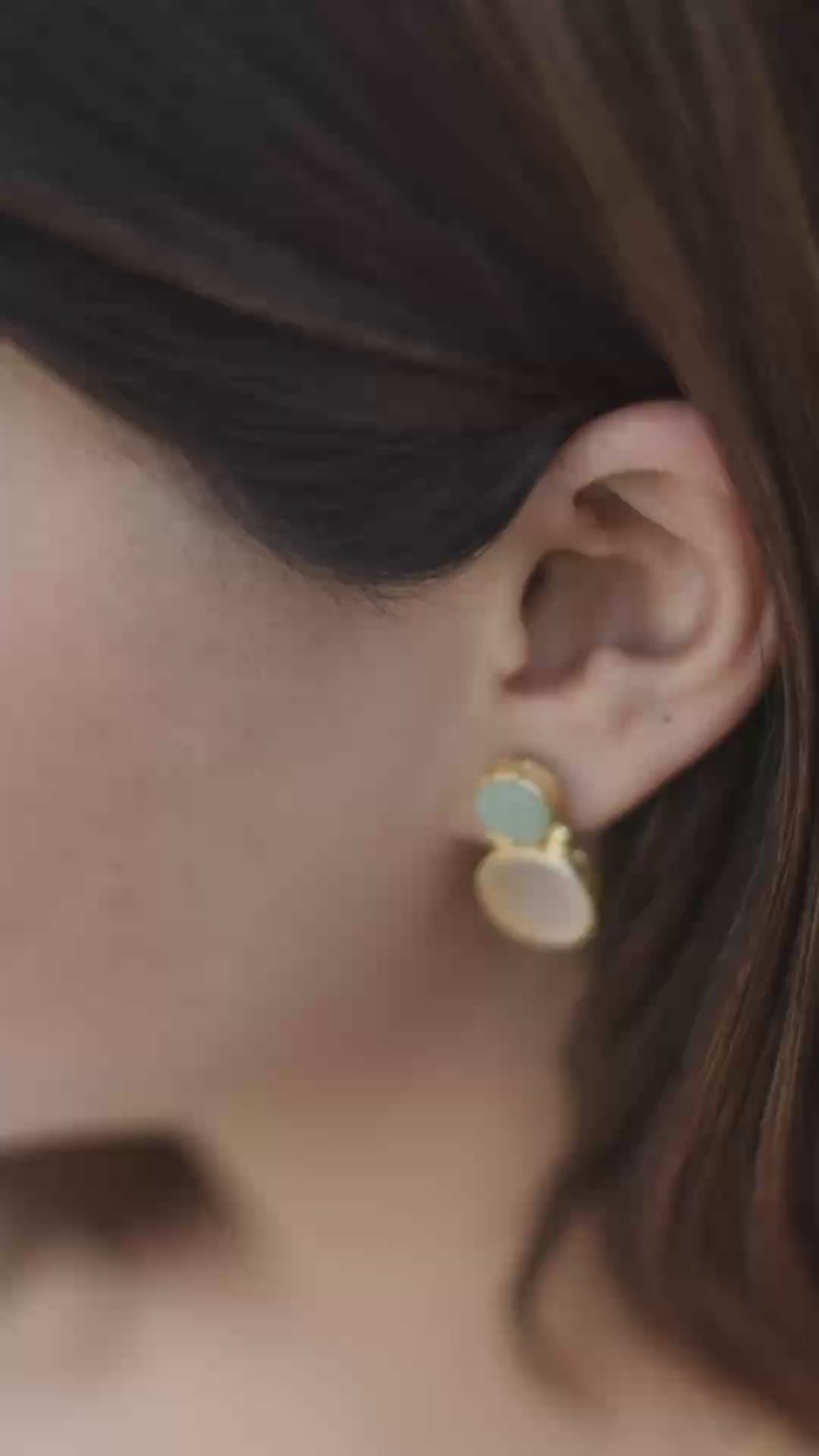 Dual Stone Crystal Earring
