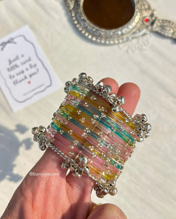 Light Multi + Kashmiri silver ghungroo🩶🤍